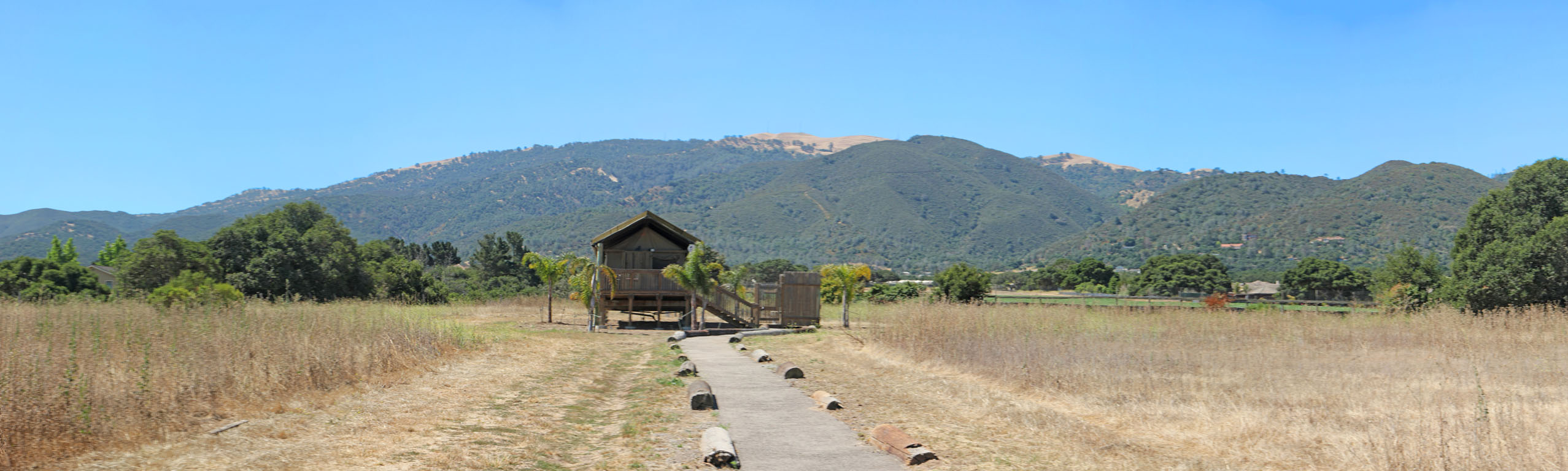 575 - Tent Panarama-1b