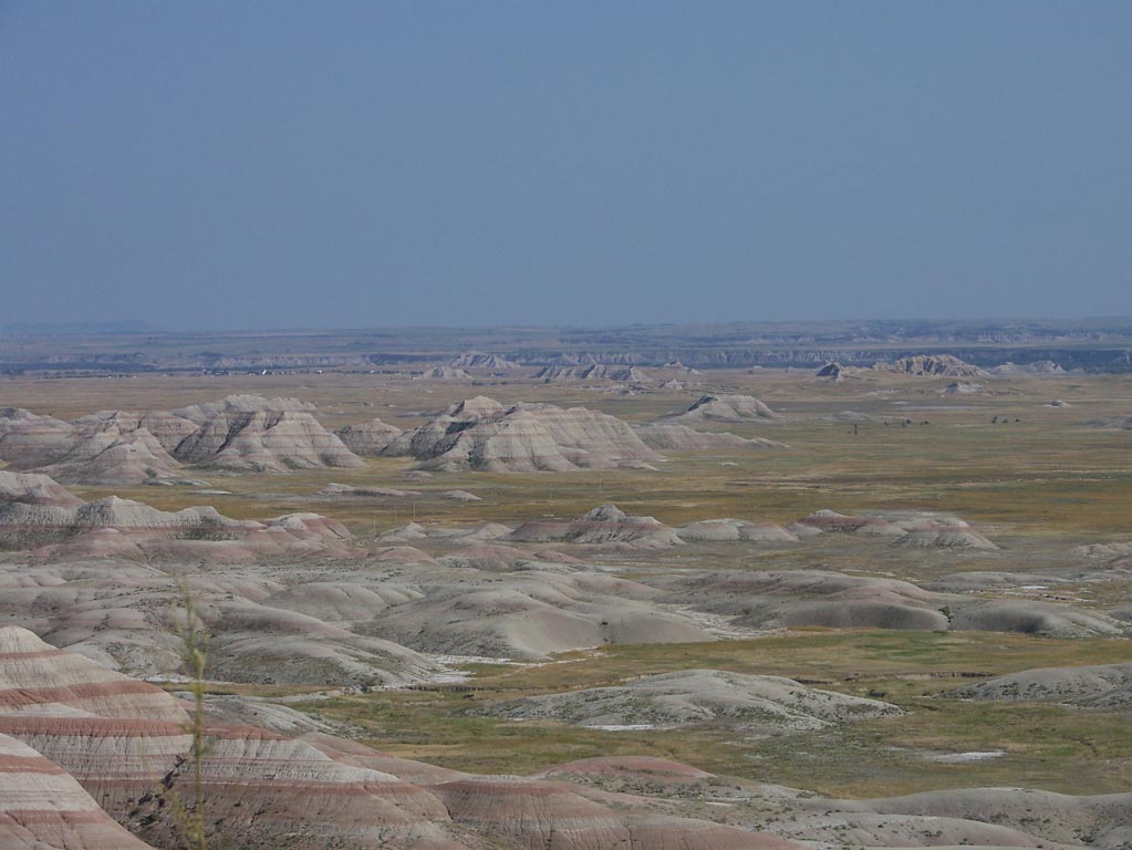 098 Bob-100_5196