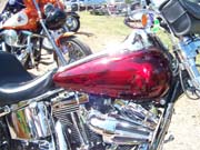 056 Bob-100_5002
