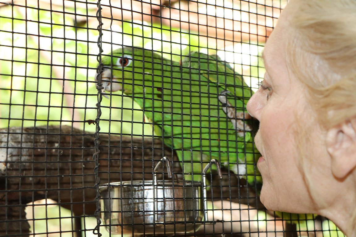 Animals - 0005 630 IMG_4580