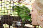 Animals - 0005 630 IMG_4580