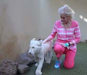 Animals - 0009 IMG_0468