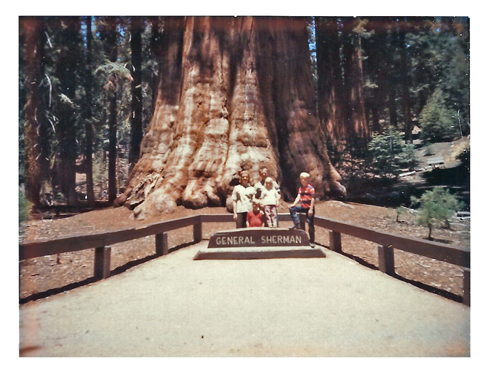 158 - Sequoia National Park (June 1967)