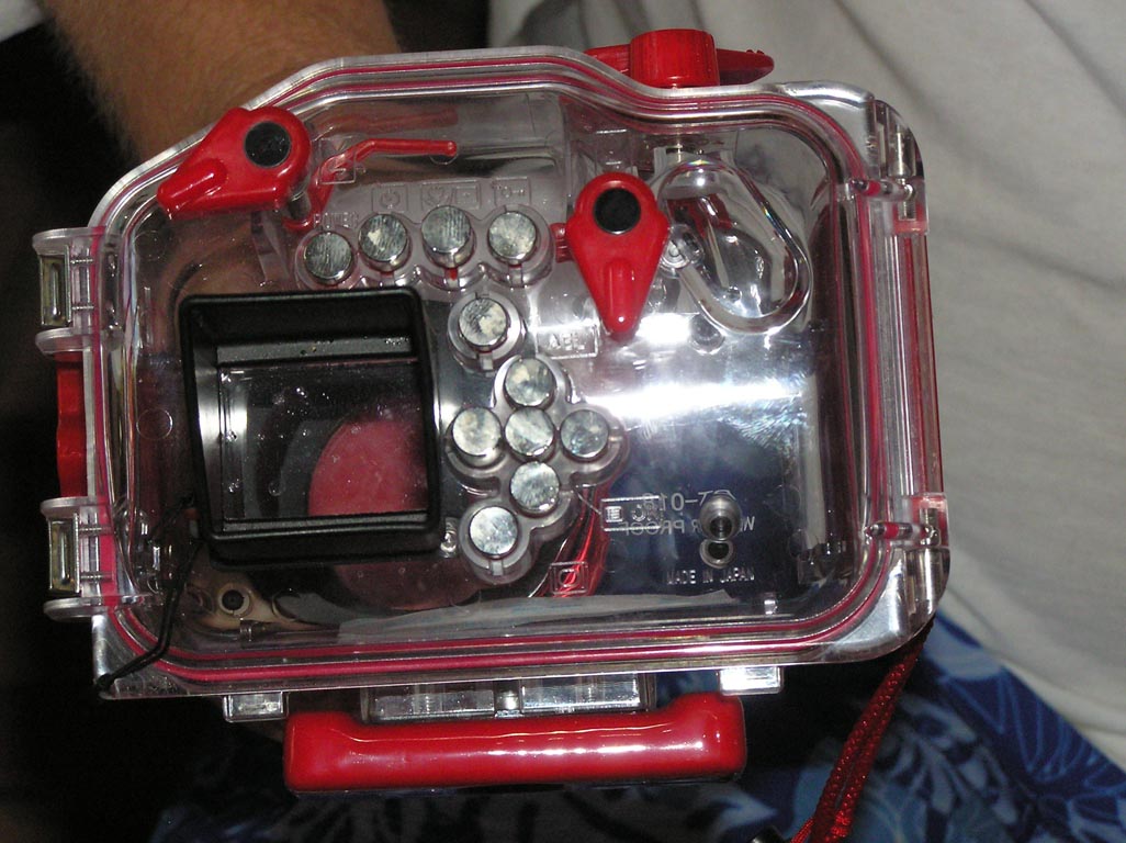 550 Cabo 2004 - (5) P7210030