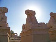 1404 - Egypt - Karnak Temple- 100_1392