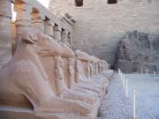 1408 - Egypt - Karnak Temple - 100_3696