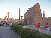 1503 - Egypt - Luxor Temple - 100_1445
