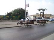 1905 - Egypt 100_3261