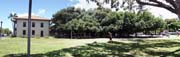 262 - Banyan Tree_Panorama1