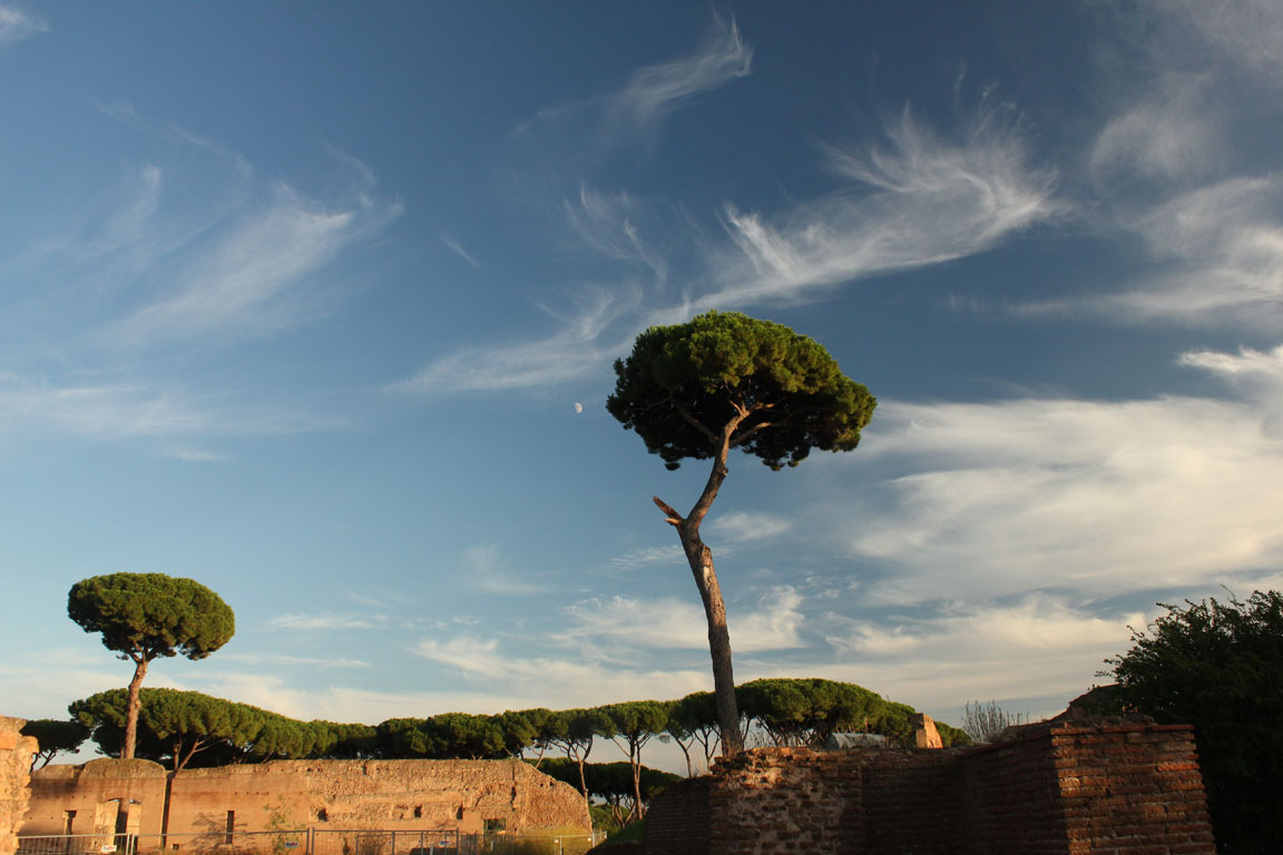 23-Roman Forum IMG_4103