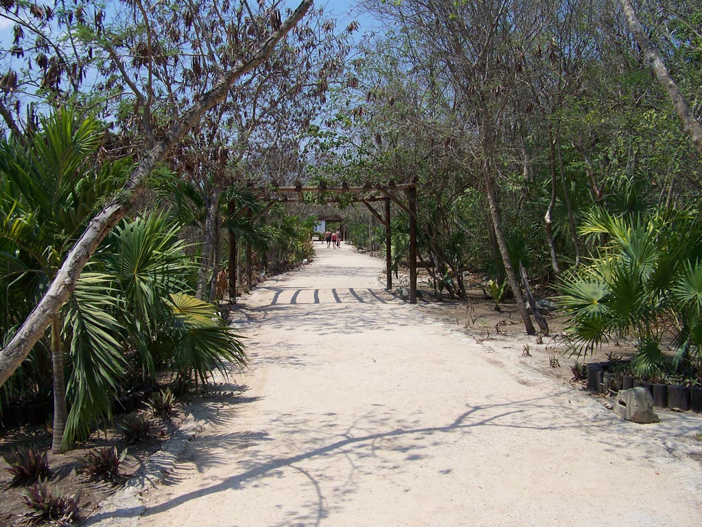 Playa Del Carmen - 2212 (Tulum)