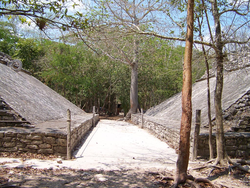 Playa Del Carmen - 3026 (Coba)