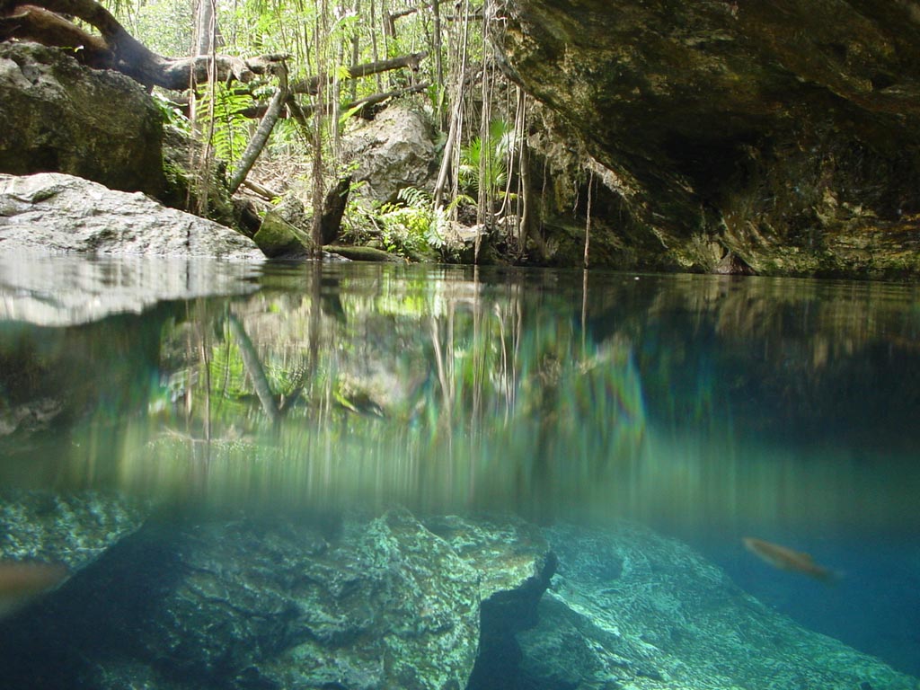 Playa Del Carmen - 5003 (Cenote)