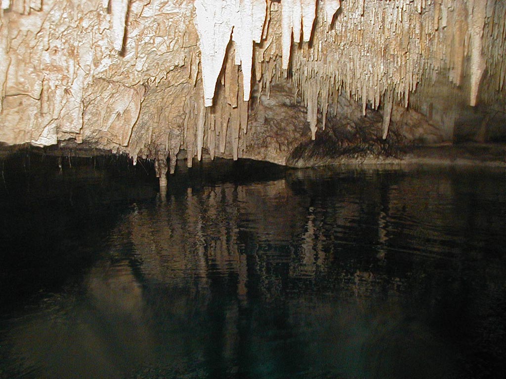 Playa Del Carmen - 5022 (Cenote)