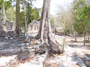 Playa Del Carmen - 3013 (Coba)