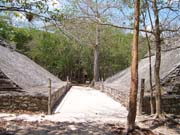 Playa Del Carmen - 3026 (Coba)