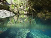 Playa Del Carmen - 5003 (Cenote)