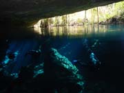 Playa Del Carmen - 5004 (Cenote)