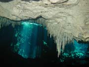 Playa Del Carmen - 5007 (Cenote)