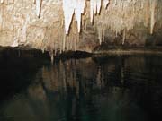 Playa Del Carmen - 5022 (Cenote)