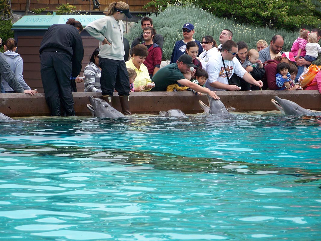 025 Seaworld Preston May 2008 139